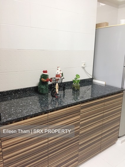 Punggol Drive (Punggol), HDB Executive #172820872
